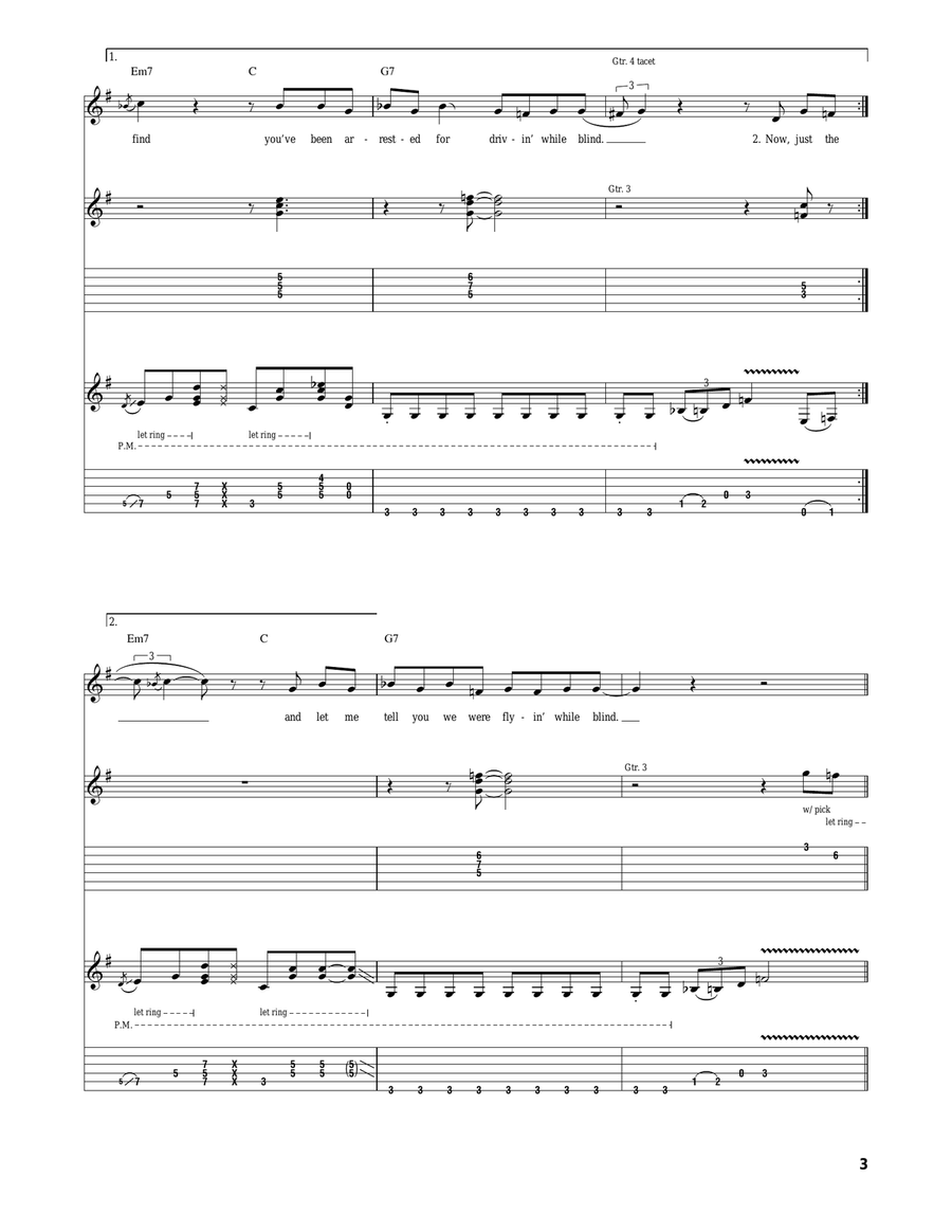 Arrested For Driving While Blind Acoustic Guitar scores gallery preview page 3
