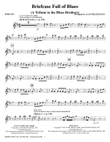 Briefcase Full Of Blues (A Tribute to the Blues Brothers) - Baritone Sax