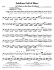 Briefcase Full Of Blues (A Tribute to the Blues Brothers) - Bass