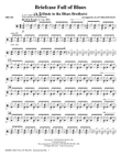 Briefcase Full Of Blues (A Tribute to the Blues Brothers) - Drums