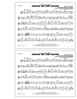 Smoke On The Water - Flute/Piccolo