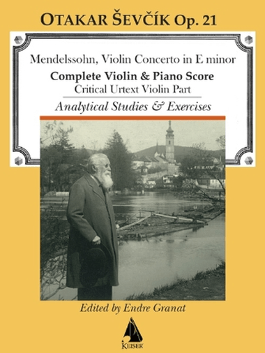 Violin Concerto in E minor