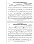 High School Never Ends - Flute/Piccolo