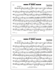 Here It Goes Again - Tuba
