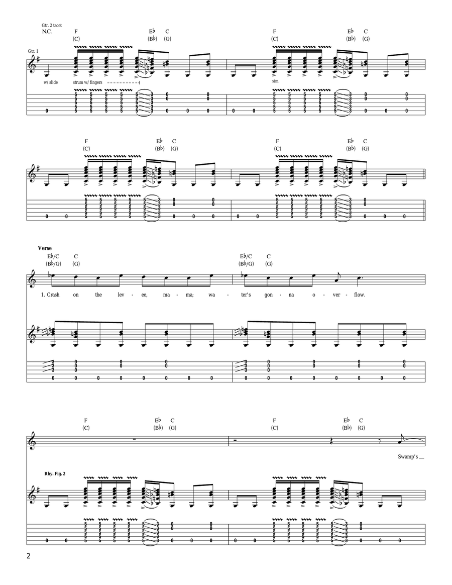 Down In The Flood Down In The Flood Acoustic Guitar scores gallery preview page 2
