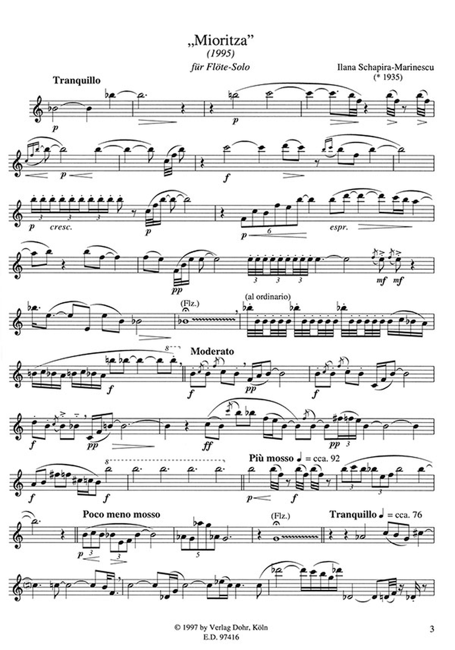Zwei Stücke für Flöte solo (1995/1996) Flute Solo scores gallery preview page 2