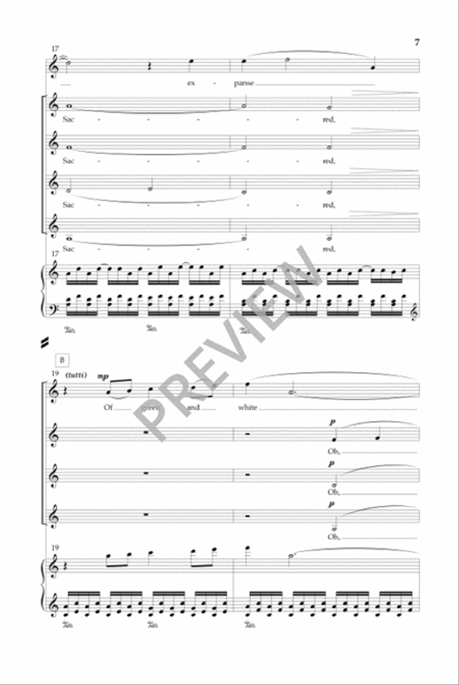 Tundra (Vocal Score) Tundra (Vocal Score) SSAA scores gallery preview page 6