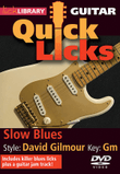 Slow Blues - Quick Licks