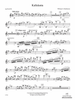 Kallalanta: Flute