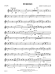 Furioso: Flute