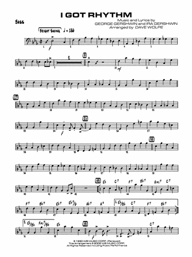 I Got Rhythm: String Bass