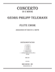 Concerto in E Minor