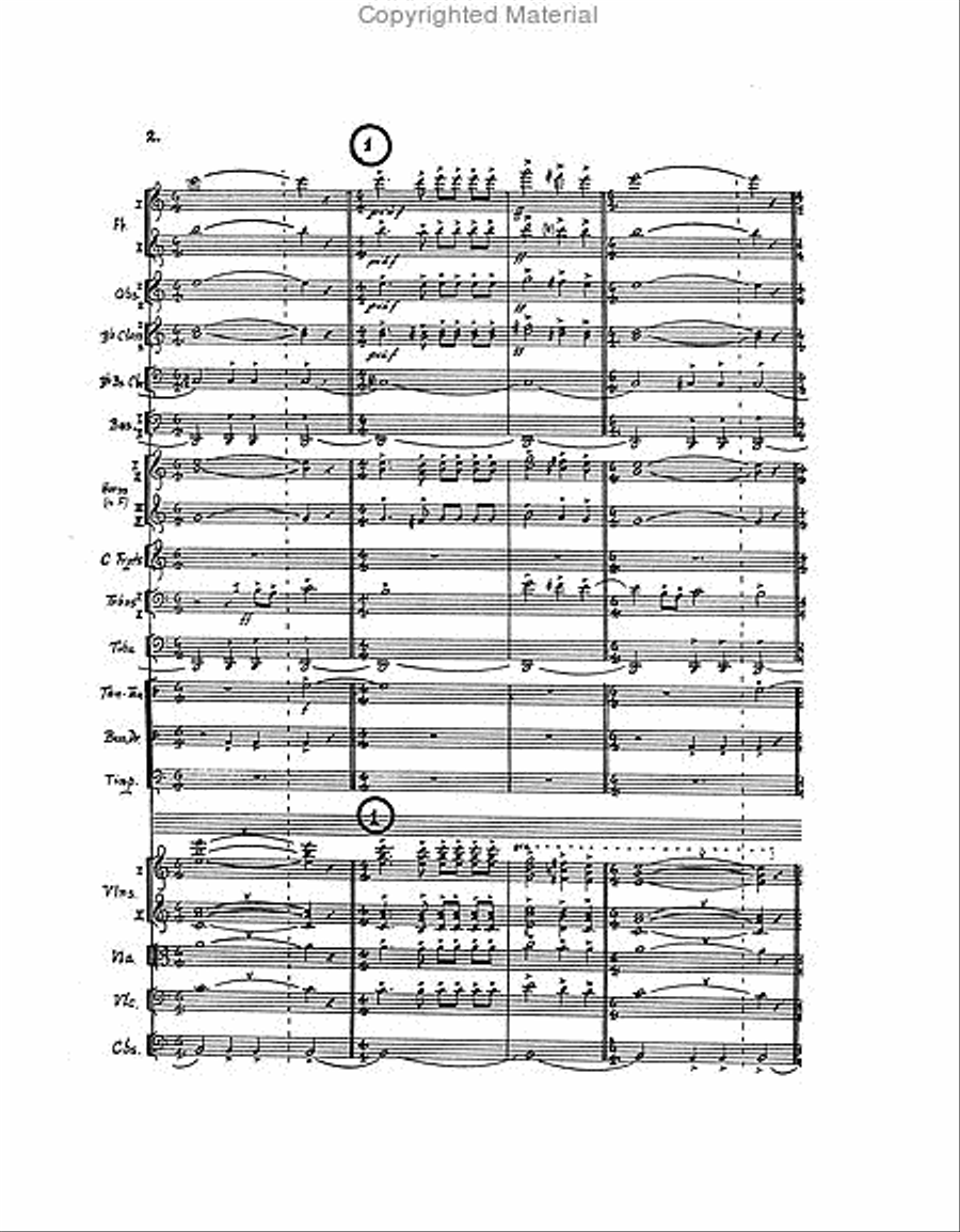 La Noche de los Mayas Orchestra scores gallery preview page 3