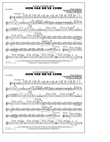 How Far We've Come - Flute/Piccolo