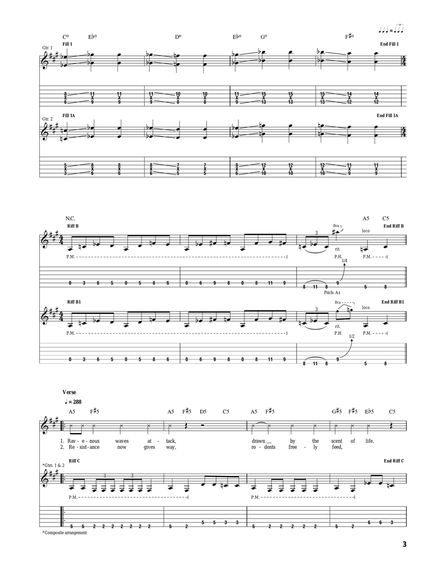Devoured By Vermin Devoured By Vermin Acoustic Guitar scores gallery preview page 3
