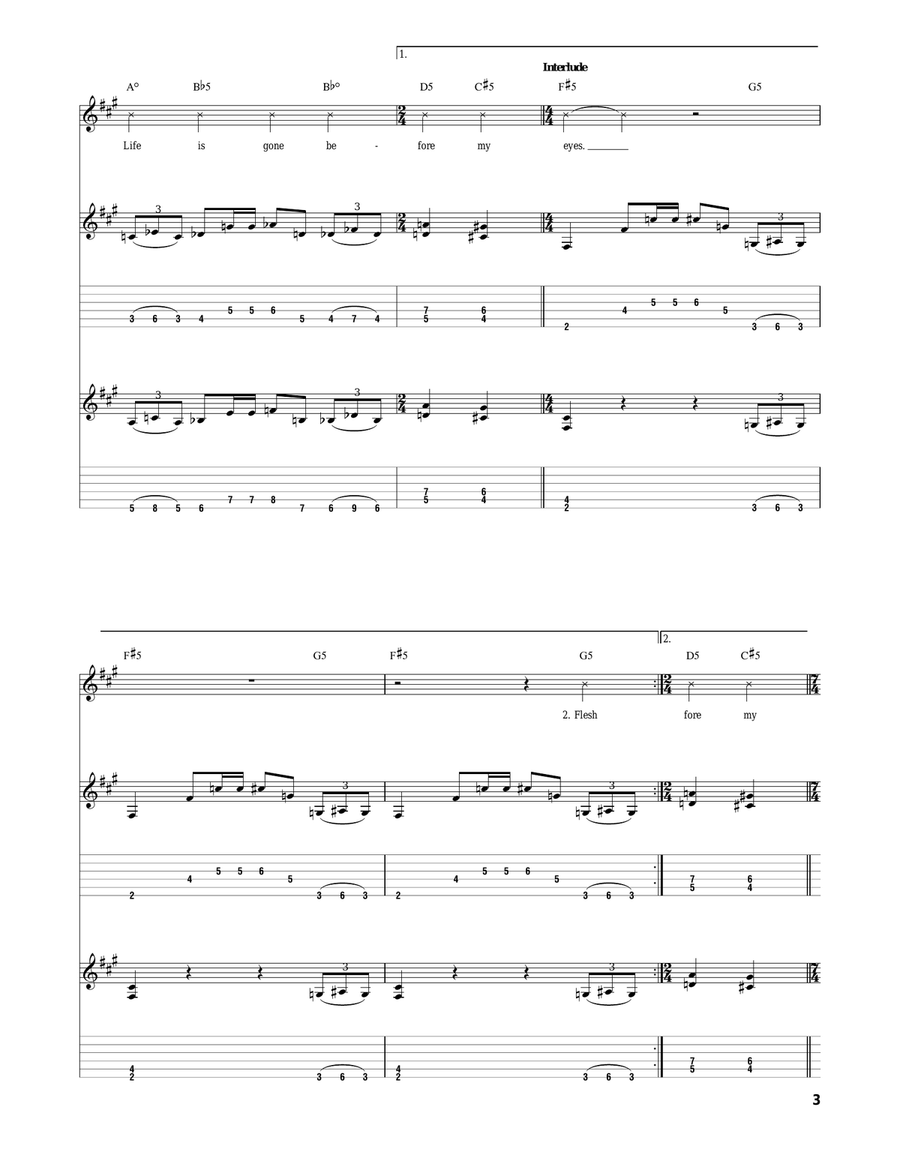 Frantic Disembowelment Frantic Disembowelment Acoustic Guitar scores gallery preview page 3