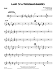 Land Of A Thousand Dances - Drums