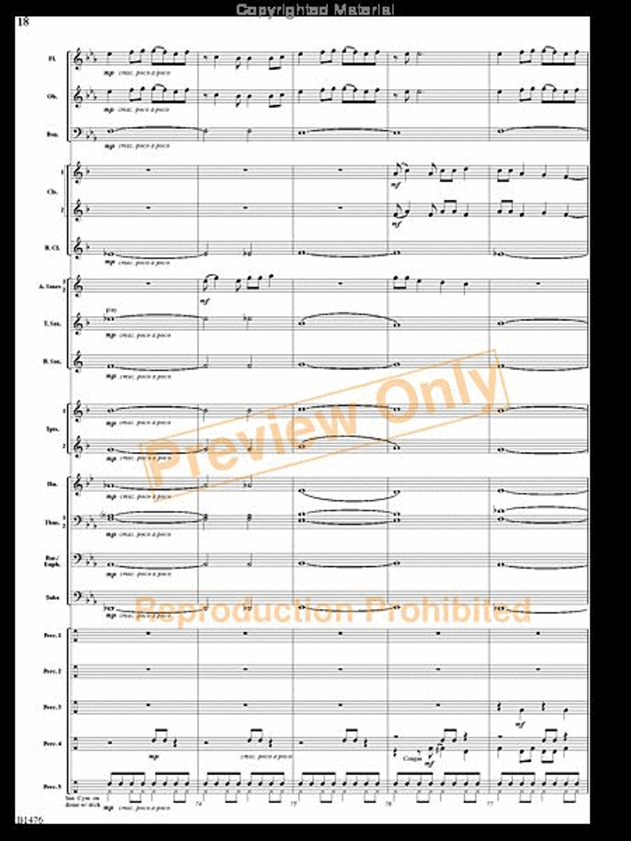 Jungle Dance Jungle Dance Concert Band scores gallery preview page 17