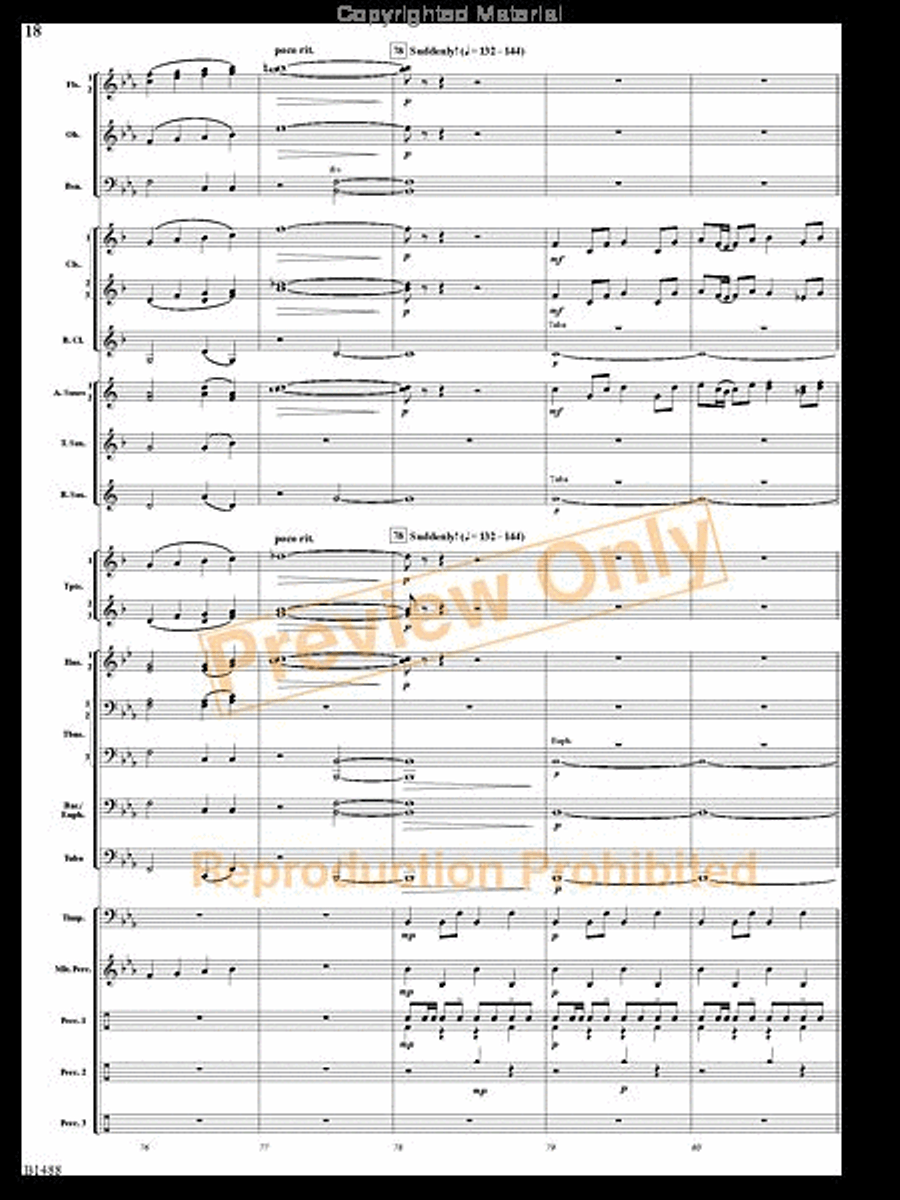 Spring River Fantasy Spring River Fantasy Concert Band scores gallery preview page 17