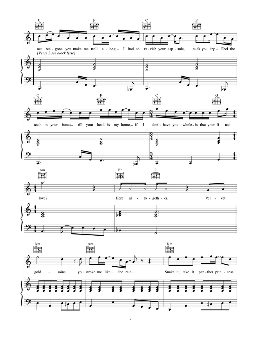 Velvet Goldmine Velvet Goldmine Acoustic Guitar scores gallery preview page 2