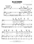 Blackbird