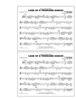 Land Of A Thousand Dances - Bb Horn/3rd Bb Tpt