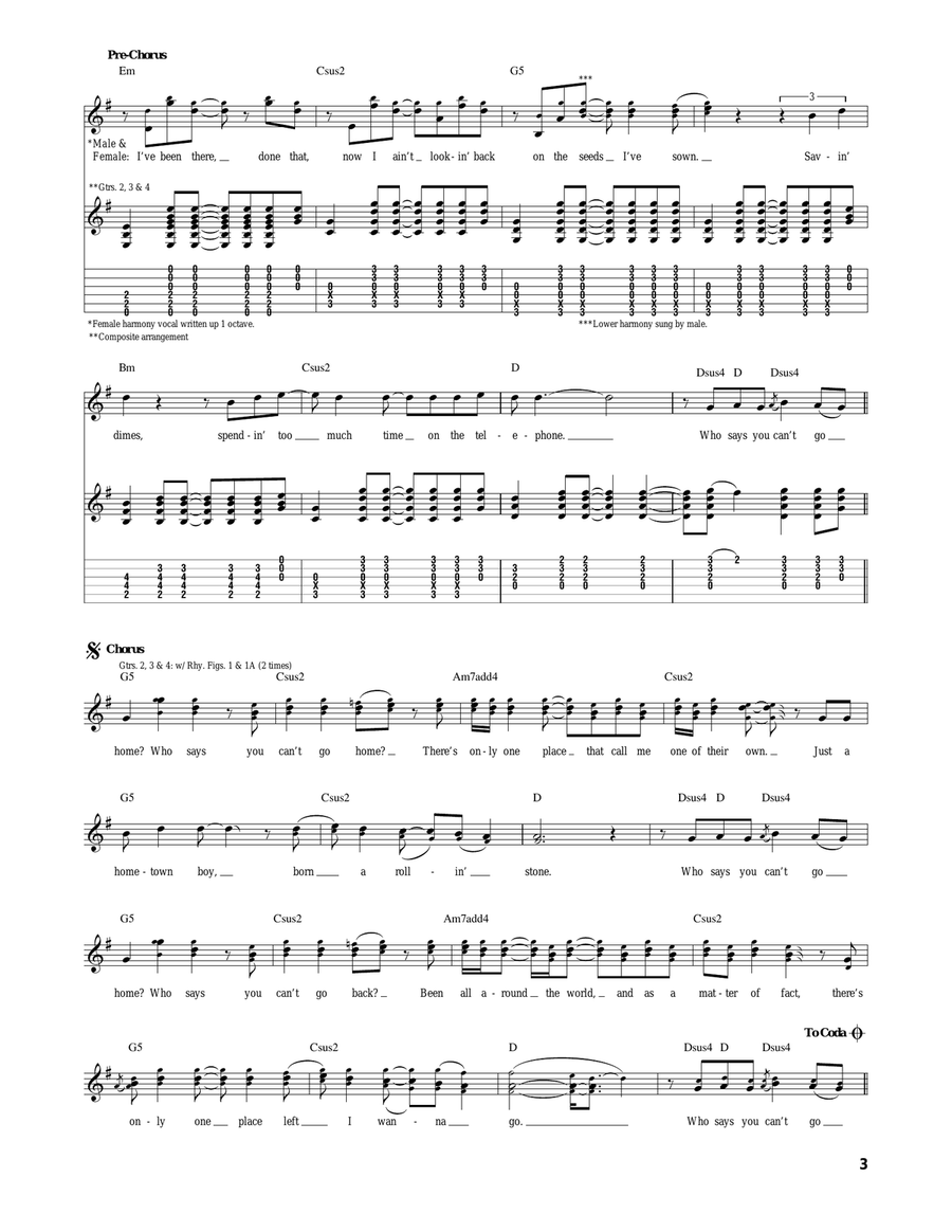 Who Says You Can't Go Home Acoustic Guitar scores gallery preview page 3