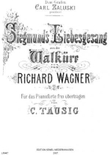 Siegmund's Liebesgesang