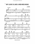Celtic Thunder – Heritage Piano, Vocal, Guitar scores gallery preview page 4