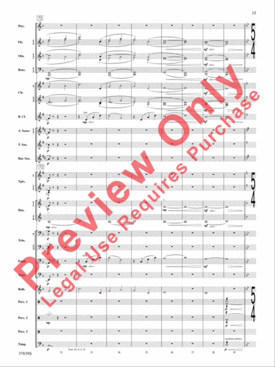 Conquest 1 (from the motion picture Ninja's Creed) Concert Band scores gallery preview page 15