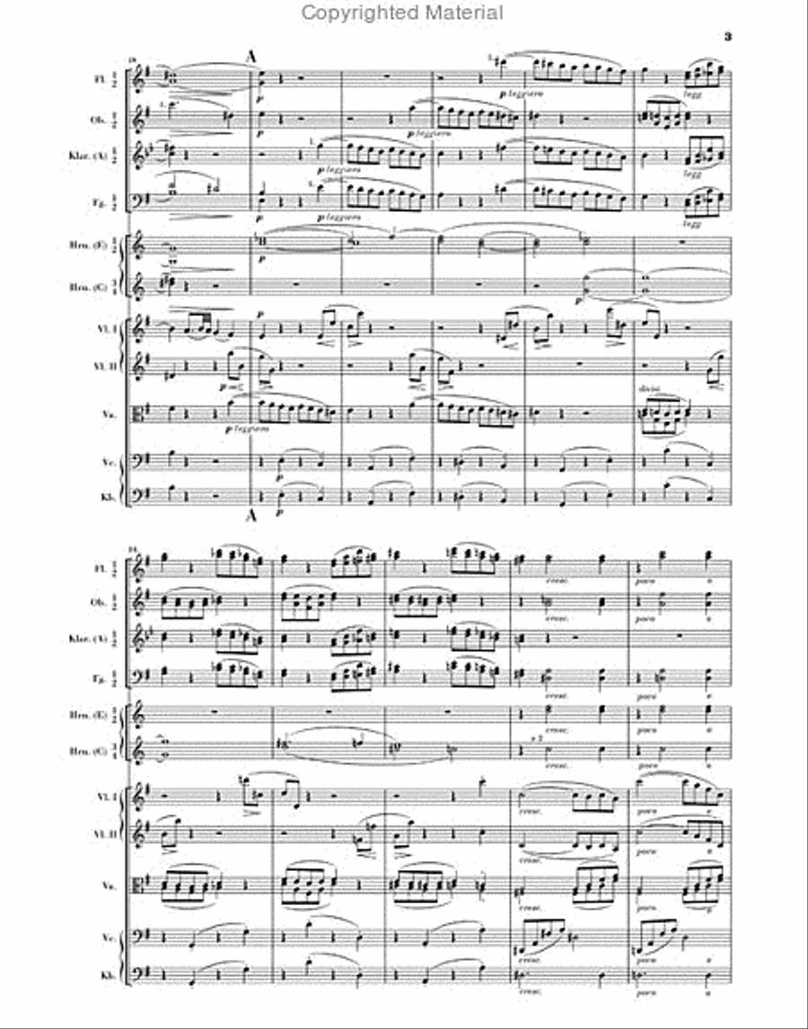 Symphony No. 4 in E minor, Op. 98 Orchestra scores gallery preview page 4