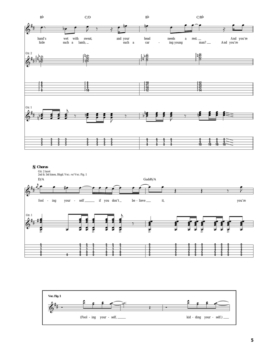 Fooling Yourself (The Angry Young Man) Acoustic Guitar scores gallery preview page 5