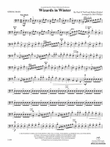 Wizards in Winter: String Bass