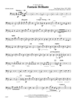 Fantasie Brillante: String Bass