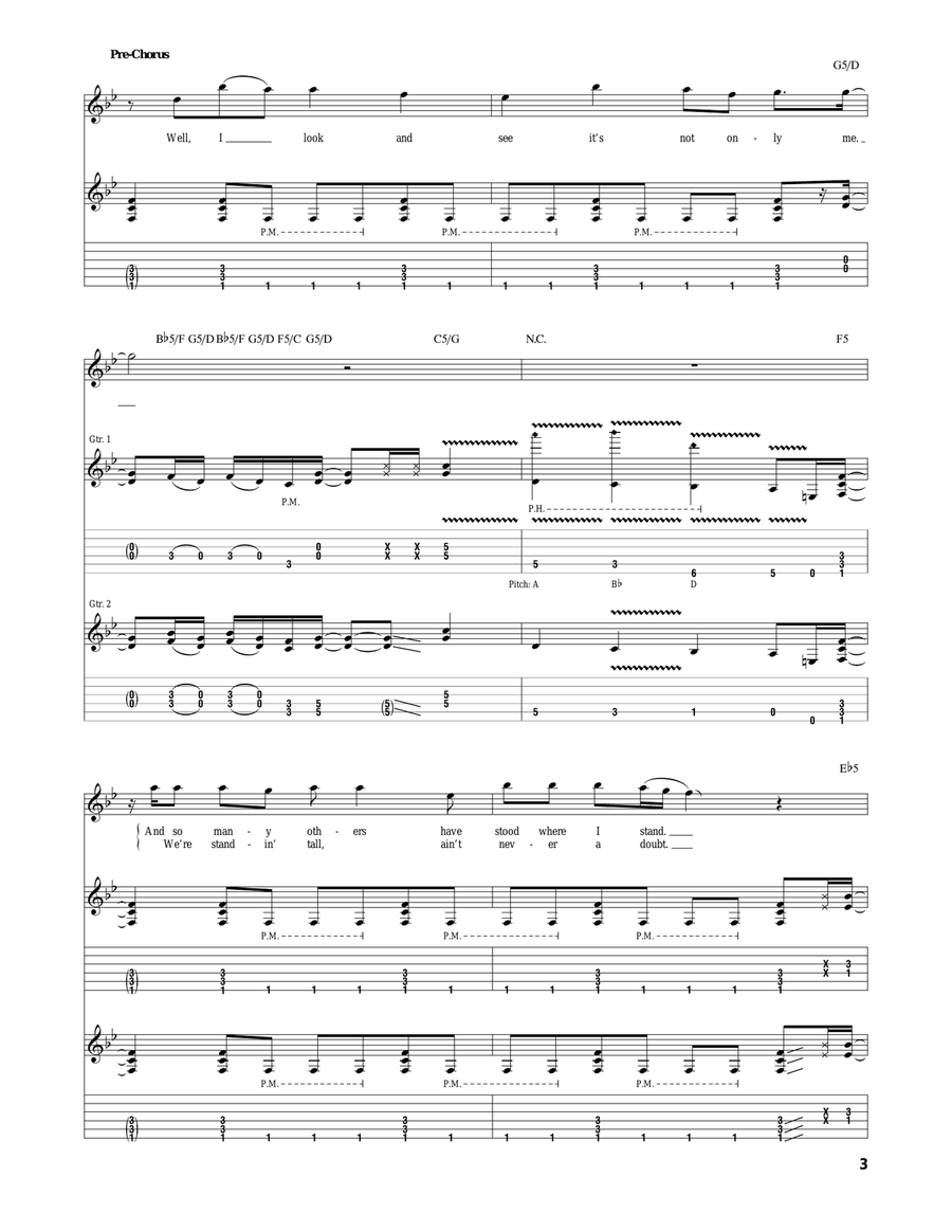 Youth Gone Wild Youth Gone Wild Acoustic Guitar scores gallery preview page 3