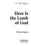 Here is the Lamb of God
