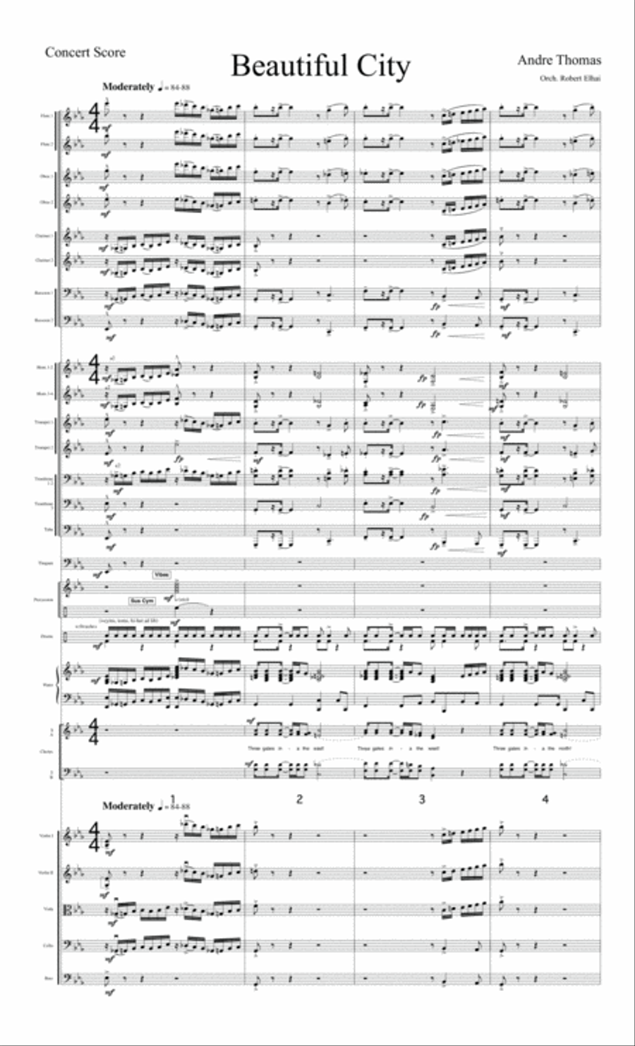 Beautiful City - Orchestral Score and Parts Orchestra scores gallery preview page 3