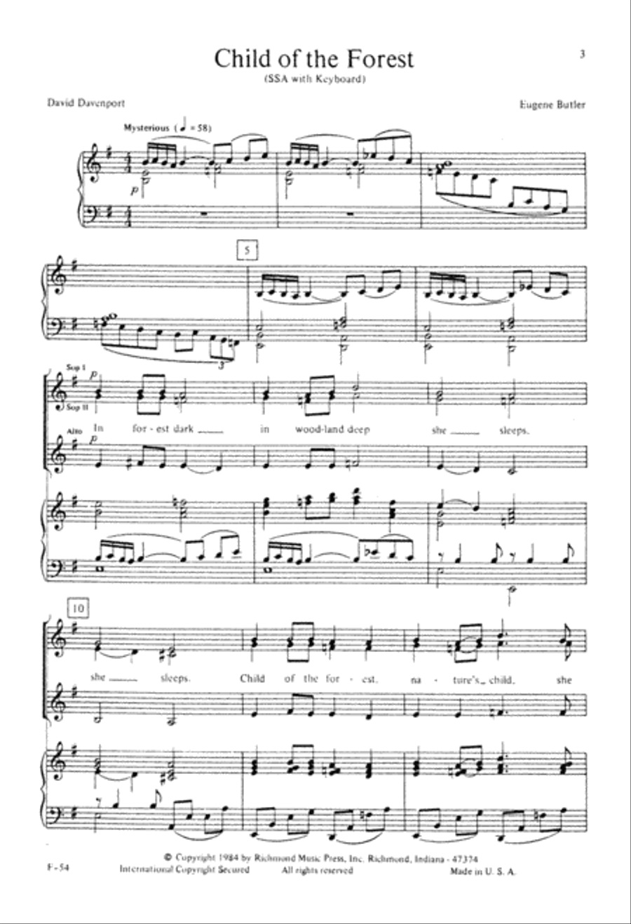 Child of the Forest (Digital Download) SSA scores gallery preview page 3