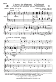 Christ Is Risen, Alleluia (Digital Download)