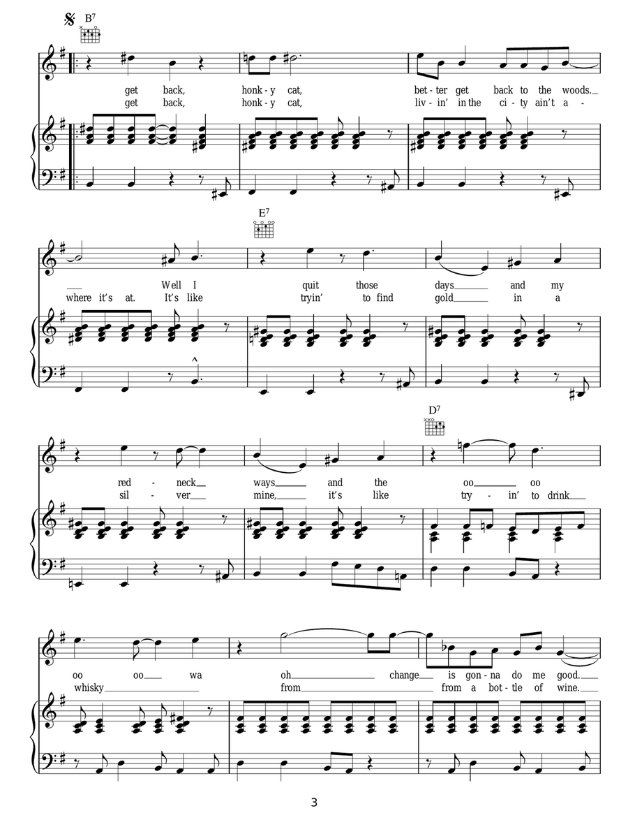 Honky Cat Honky Cat Acoustic Guitar scores gallery preview page 3
