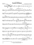 Fantasie Brillante: (World Part) B-flat Tuba B.C.