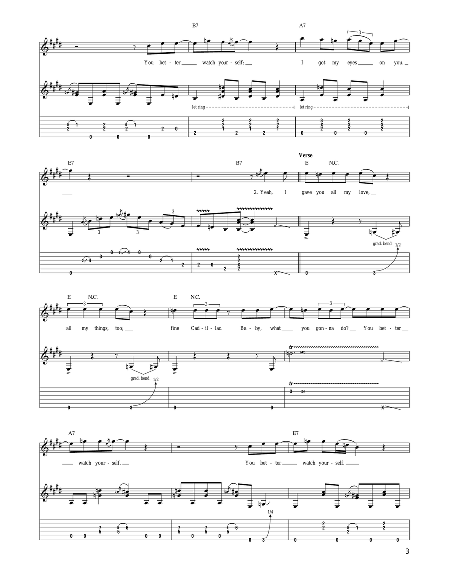 You Better Watch Yourself Acoustic Guitar scores gallery preview page 3
