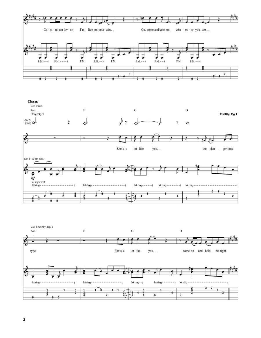 The Dangerous Type The Dangerous Type Acoustic Guitar scores gallery preview page 2