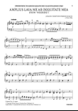 Amplius Lava Me Ab Iniquitate Mea (from Miserere)
