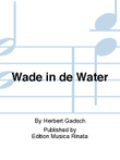 Wade in de Water