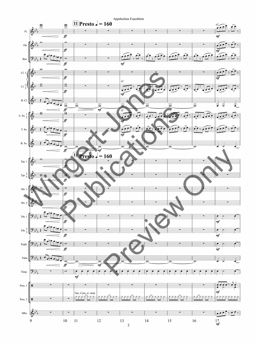 Appalachian Expedition by Chris M. Bernotas Concert Band - Sheet Music page 5