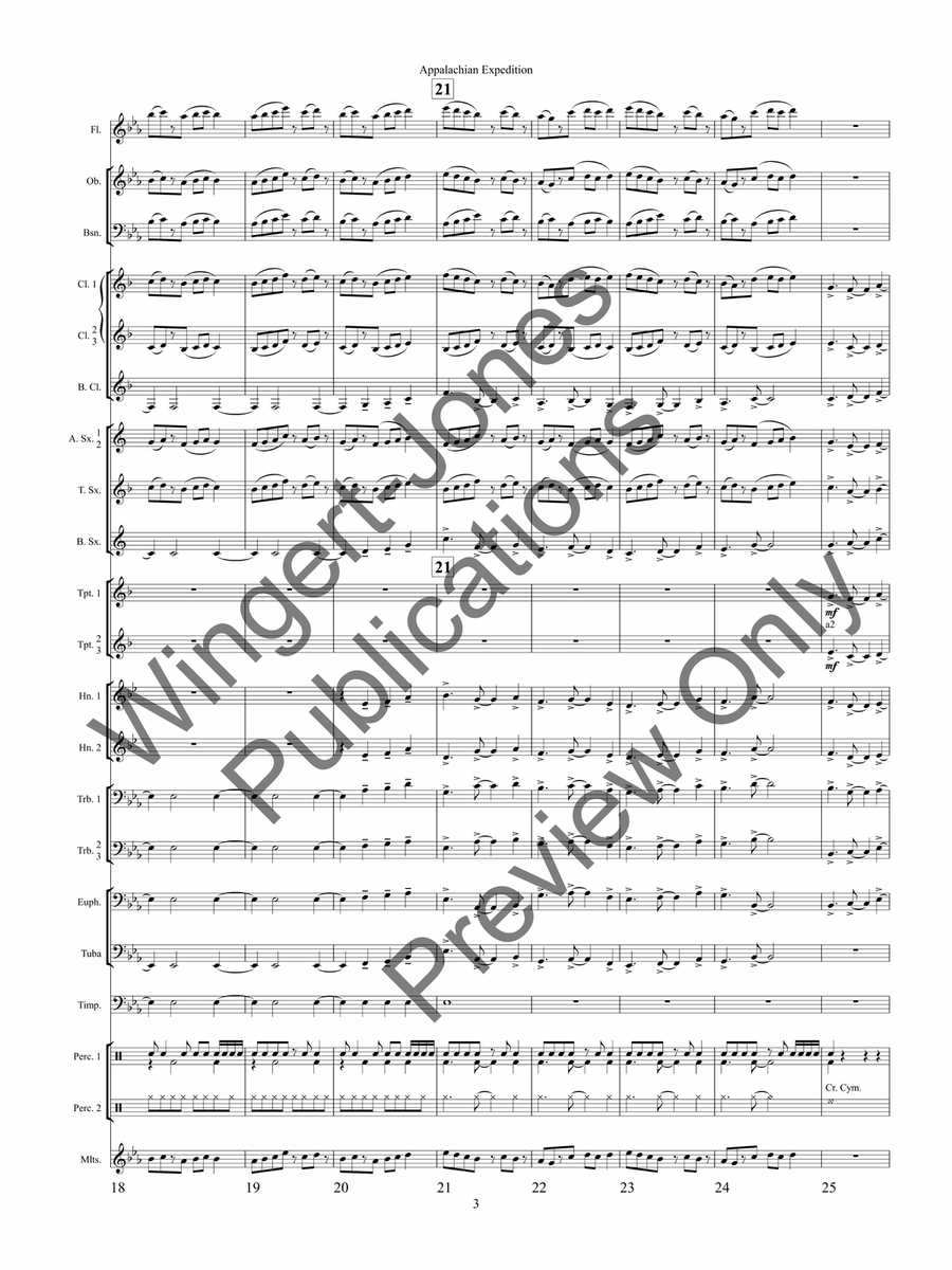 Appalachian Expedition (Score) by Chris M. Bernotas Concert Band - Sheet Music page 6