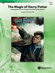 The Magic of Harry Potter
