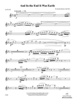 And in the End It Was Earth: Flute