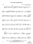 I Can See Clearly Now: 1st Percussion